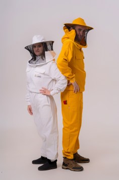 apinord_apicol_06