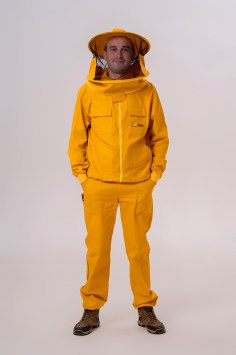 apinord_apicol_III_03