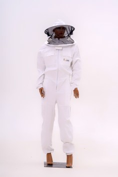 apinord_apicol_II_01