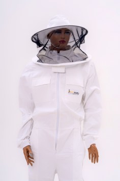 apinord_apicol_II_02
