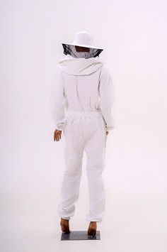 apinord_apicol_II_03