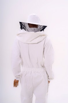 apinord_apicol_II_04