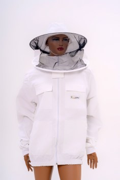 apinord_apicol_IV_01