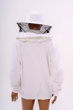 apinord_apicol_IV_03